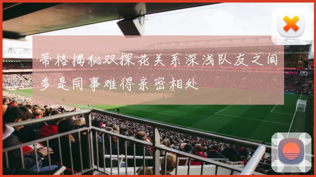 蒂格揭秘双探花关系深浅队友之间多是同事难得亲密相处