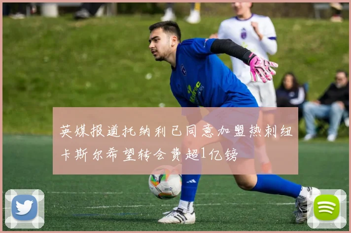 英媒报道托纳利已同意加盟热刺纽卡斯尔希望转会费超1亿镑
