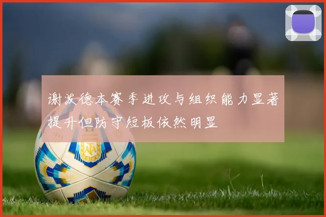 谢泼德本赛季进攻与组织能力显著提升但防守短板依然明显
